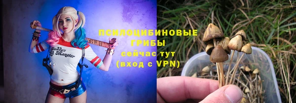 Альфа ПВП Карпинск