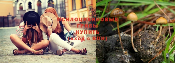мдма Медногорск