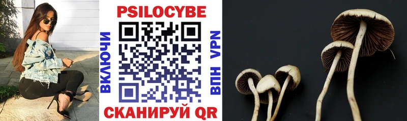 omg зеркало  Новая Усмань  Псилоцибиновые грибы прущие грибы 